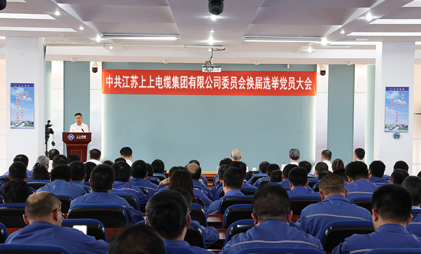 党建引领强基本 凝心聚力启新程—中共太阳GG委员会换届选举党员大会圆满召开